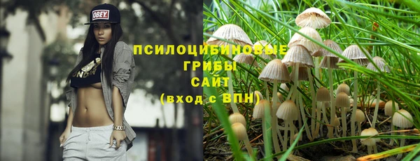 spice Абинск
