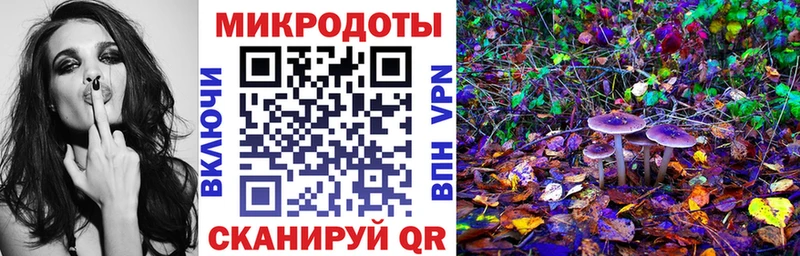 Галлюциногенные грибы Magic Shrooms  купить наркоту  Чкаловск 